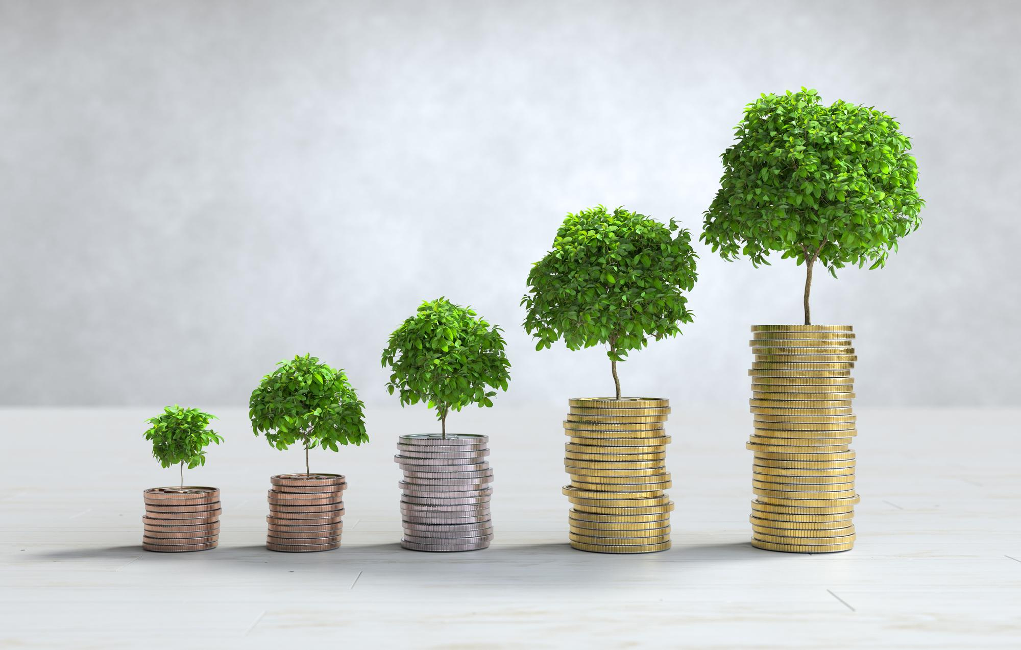 Quelles sont les Économies apportées par l’Isolation des Combles ?